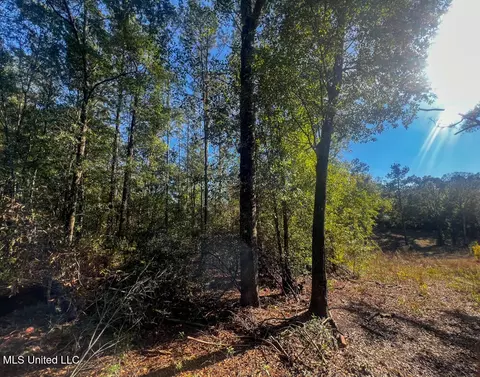 E Highway 198, Lucedale, MS 39452 photo 17