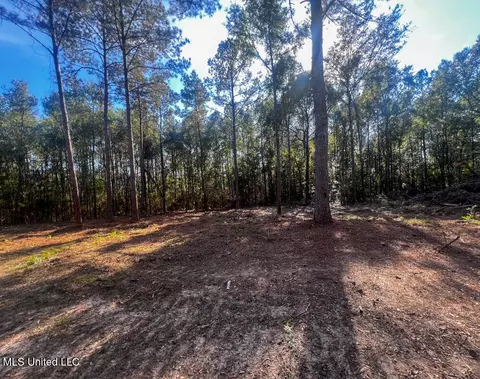 E Highway 198, Lucedale, MS 39452 photo 15