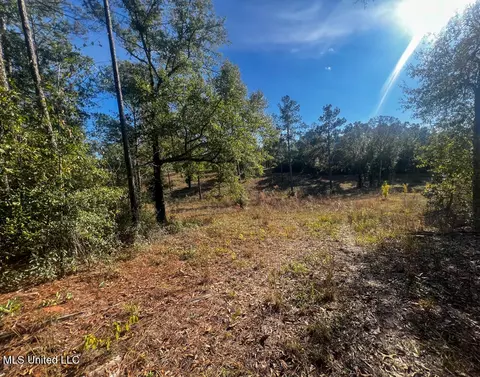 E Highway 198, Lucedale, MS 39452 photo 18