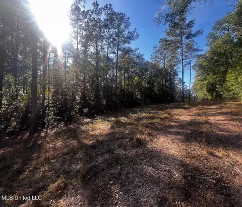 E Highway 198, Lucedale, MS 39452 photo 13