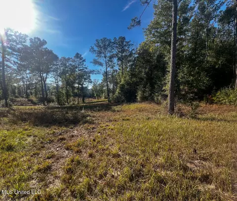 E Highway 198, Lucedale, MS 39452 photo 11