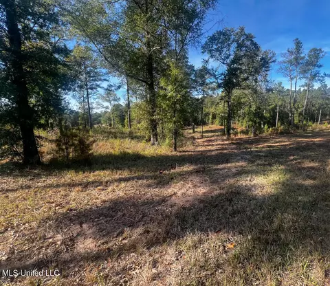 E Highway 198, Lucedale, MS 39452 photo 8