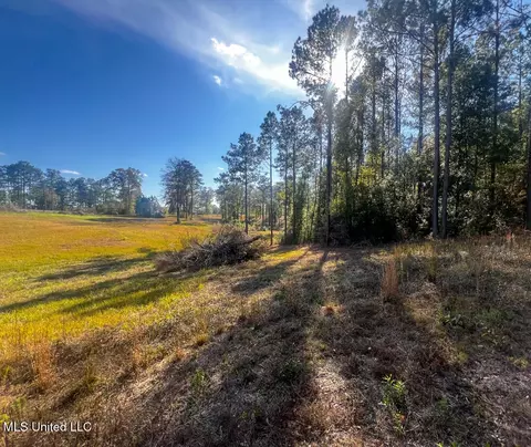E Highway 198, Lucedale, MS 39452 photo 12