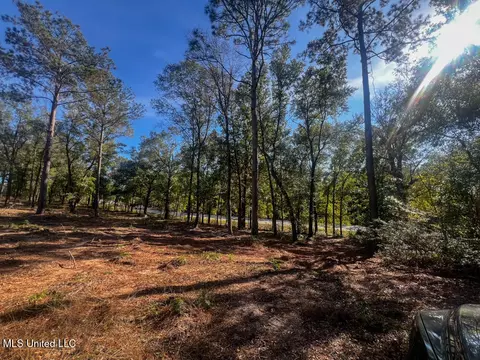 E Highway 198, Lucedale, MS 39452 photo 25