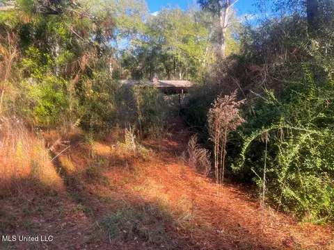 E Highway 198, Lucedale, MS 39452 photo 28