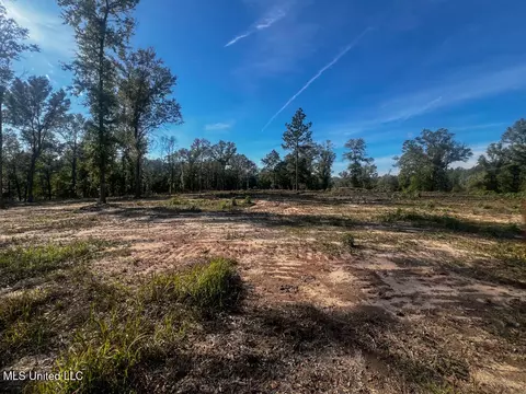 E Highway 198, Lucedale, MS 39452 photo 6