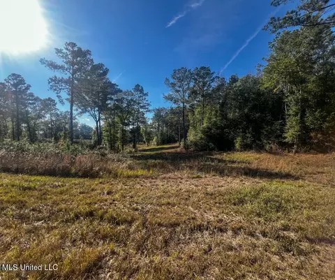 E Highway 198, Lucedale, MS 39452 photo 10