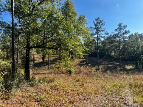 E Highway 198, Lucedale, MS 39452 photo 19