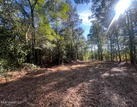 E Highway 198, Lucedale, MS 39452 photo 16