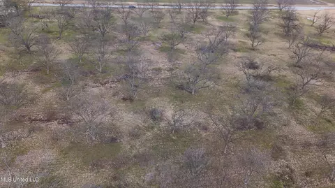 Interstate Road, Shaw, MS 38773 photo 7