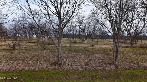 Interstate Road, Shaw, MS 38773 photo 8