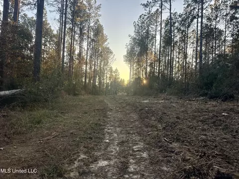 000 Monticello Rd, Wesson, MS 39191