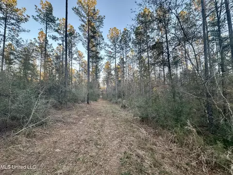 000 Monticello Rd, Wesson, MS 39191 photo 2