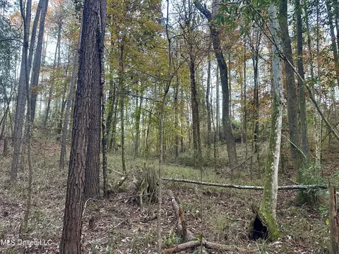 000 Monticello Rd, Wesson, MS 39191 photo 5