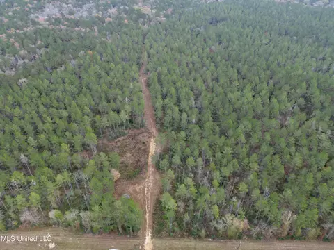 000 Monticello Rd, Wesson, MS 39191 photo 4