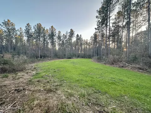 000 Monticello Rd, Wesson, MS 39191 photo 3