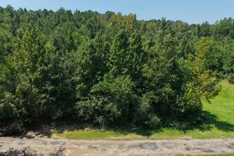 0 Alfred Rd, Liberty, MS 39645