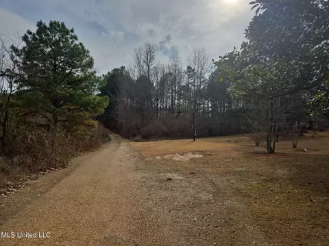 654 Baremore St, Louisville, MS 39339