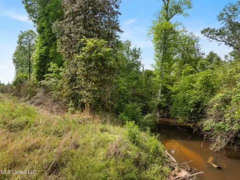 81 64 Acres William Warren Rd, Collins, MS 39428