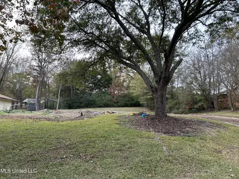 Meadow Ln Circle, Clinton, MS 39056 photo 3