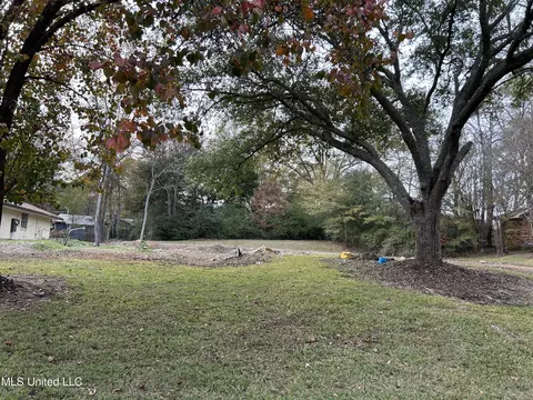 Meadow Ln Circle, Clinton, MS 39056 photo 2
