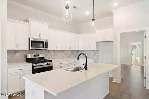 Other - 2984 Eden Ln, Nesbit, MS 38651 photo 2 of 7