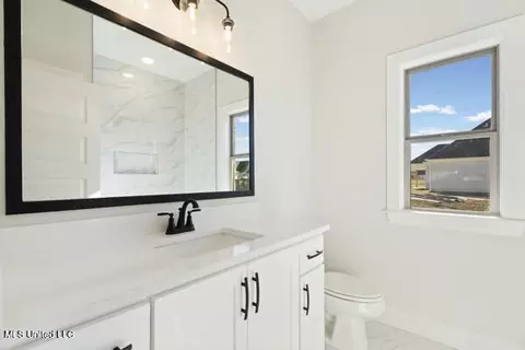 Bath - 2984 Eden Ln, Nesbit, MS 38651 photo 3 of 3