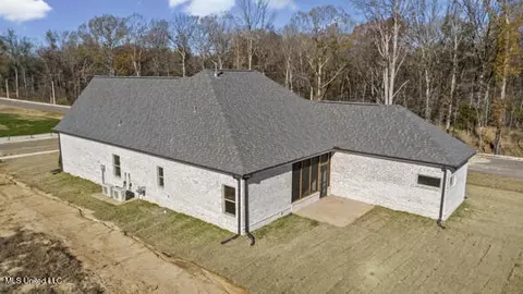 Other - 2984 Eden Ln, Nesbit, MS 38651 photo 5 of 7