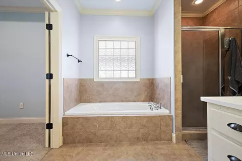 Bath - 707 Tortoise Rdg, Brandon, MS 39047 photo 2 of 4
