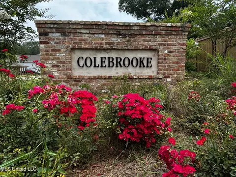 105 Colebrooke Cv, Florence, MS 39073