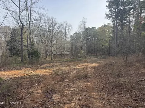 510 Jared Dr, Brandon, MS 39042 photo 10