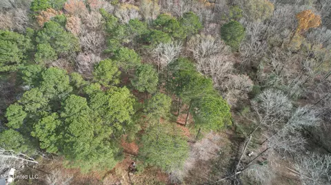 510 Jared Dr, Brandon, MS 39042 photo 5