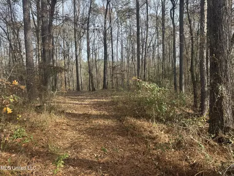 510 Jared Dr, Brandon, MS 39042 photo 14