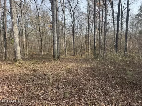 510 Jared Dr, Brandon, MS 39042 photo 12
