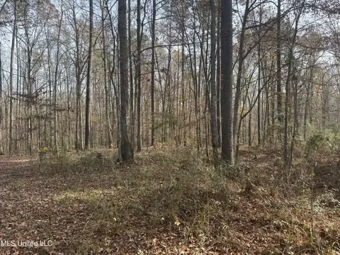 510 Jared Dr, Brandon, MS 39042 photo 15