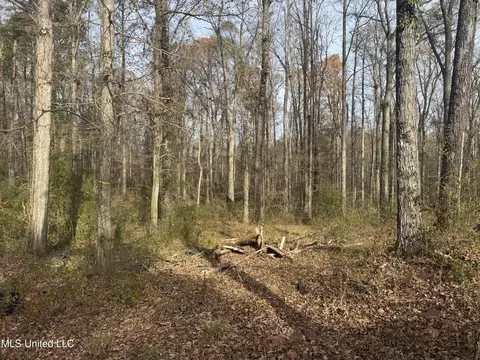 510 Jared Dr, Brandon, MS 39042 photo 13