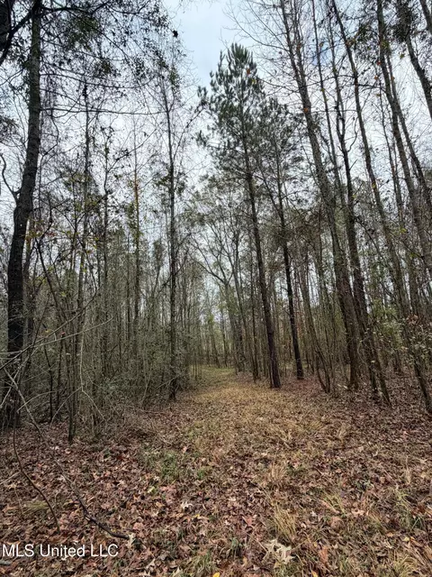 N Us-11 Highway, Enterprise, MS 39330 photo 17