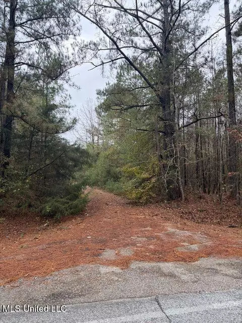 N Us-11 Highway, Enterprise, MS 39330 photo 7