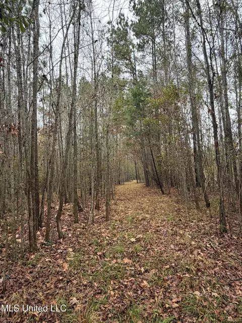 N Us-11 Highway, Enterprise, MS 39330 photo 9