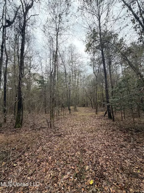N Us-11 Highway, Enterprise, MS 39330 photo 21