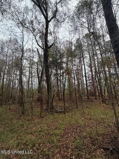 N Us-11 Highway, Enterprise, MS 39330 photo 3