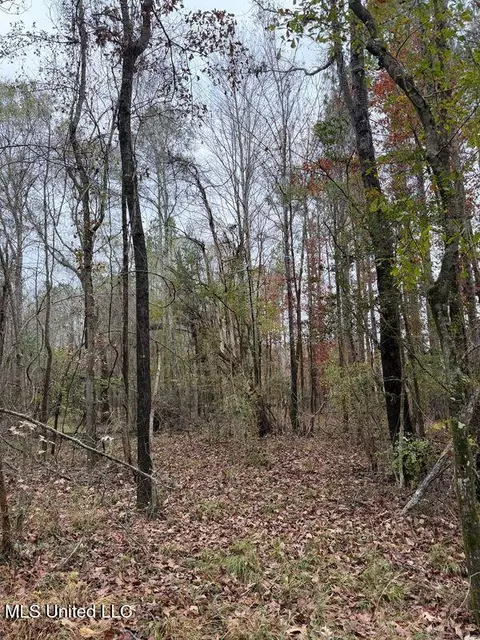 N Us-11 Highway, Enterprise, MS 39330 photo 18