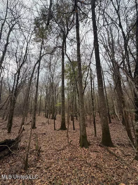 N Us-11 Highway, Enterprise, MS 39330 photo 14