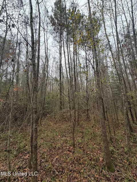 N Us-11 Highway, Enterprise, MS 39330 photo 19