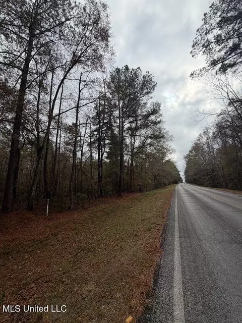 N Us-11 Highway, Enterprise, MS 39330 photo 6