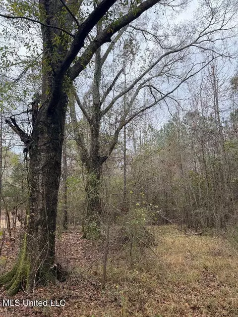 N Us-11 Highway, Enterprise, MS 39330 photo 23