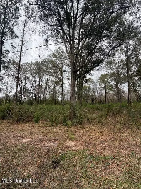 N Us-11 Highway, Enterprise, MS 39330 photo 16