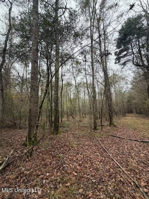 N Us-11 Highway, Enterprise, MS 39330 photo 11