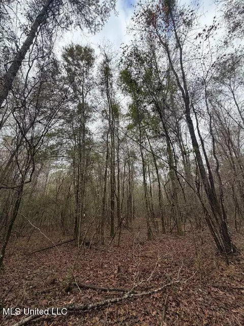 N Us-11 Highway, Enterprise, MS 39330 photo 20