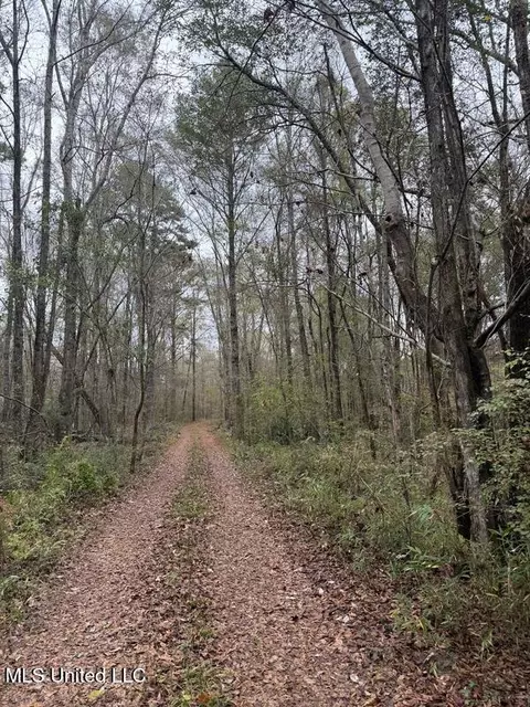 N Us-11 Highway, Enterprise, MS 39330 photo 2